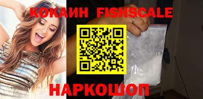 крисы Бийск