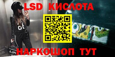 крисы Бийск