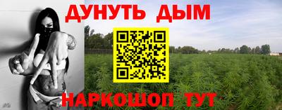 крисы Бийск