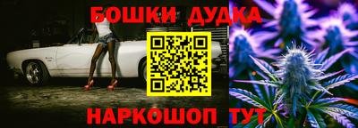 крисы Бийск