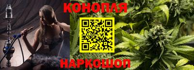 крисы Бийск