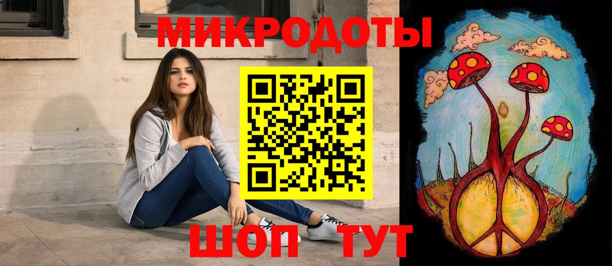 Камышин  Псилоцибиновые грибы мухоморы  Вход с VPN 