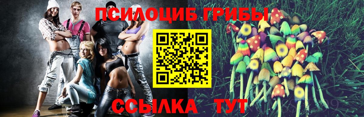 Псилоцибиновые грибы мицелий Камышин